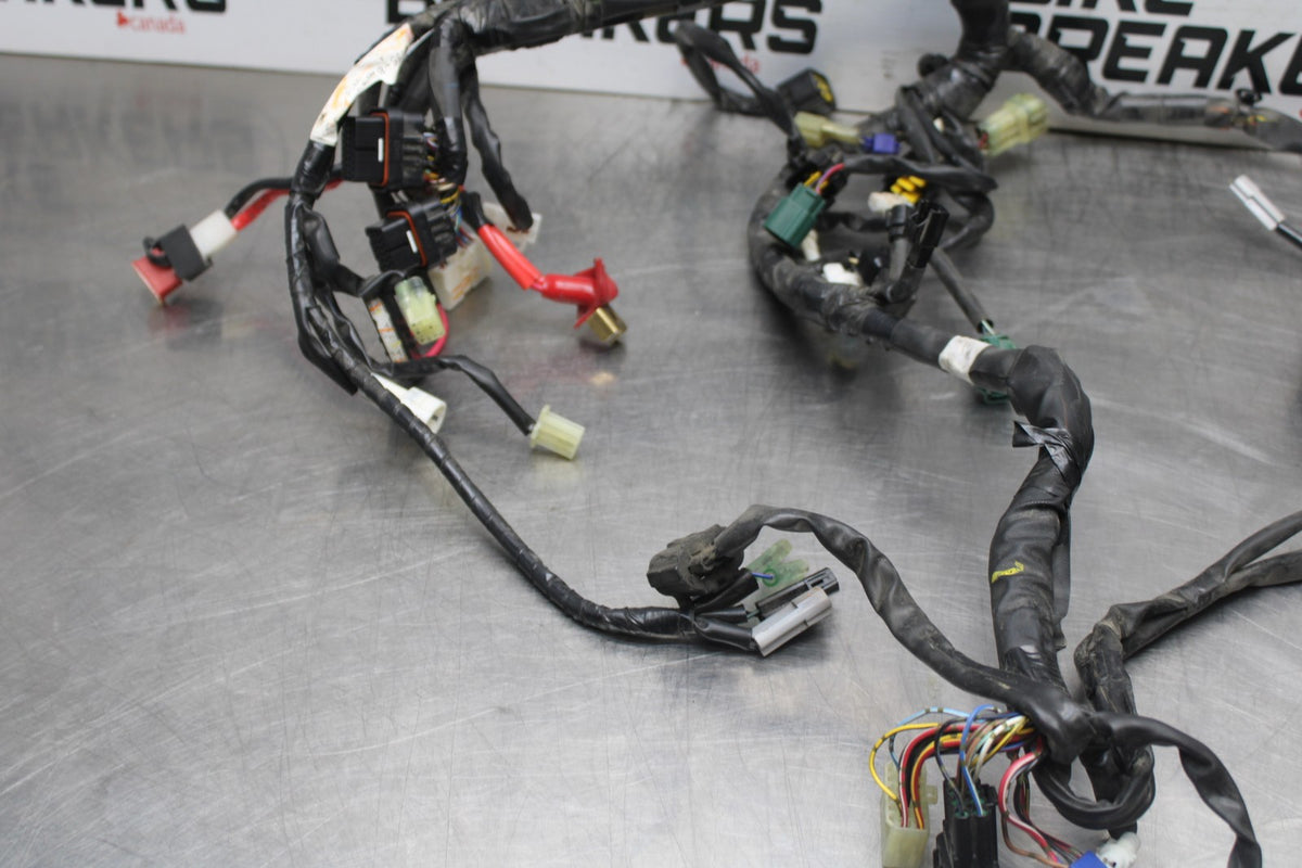 08-16 YAMAHA YZF R6 MAIN ENGINE WIRING HARNESS MOTOR WIRE LOOM BB856