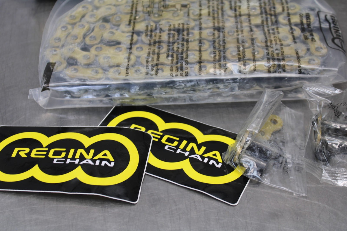 REGINA NEW!! TOURING MAIN DRIVE CHAIN  BB876