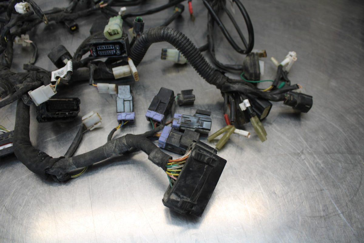 18-22 HUSQVARNA VITPILEN 701 MAIN ENGINE WIRING HARNESS MOTOR WIRE LOOM BB198