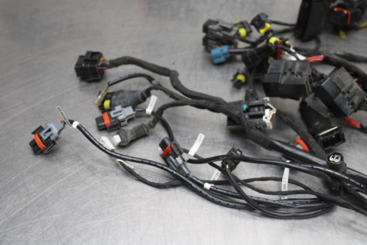 16 DUCATI 959 PANIGALE MAIN ENGINE WIRING HARNESS MOTOR WIRE LOOM BB912