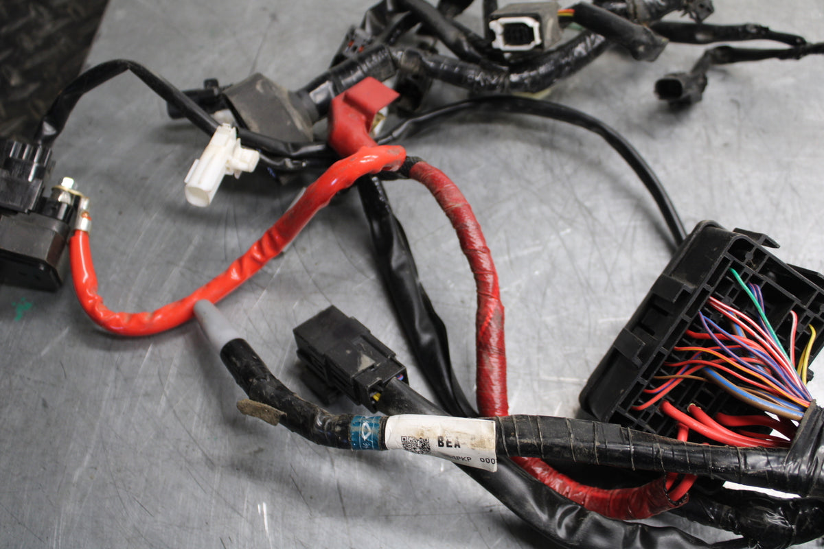 22-24 YAMAHA XSR900 MAIN ENGINE WIRING HARNESS MOTOR WIRE LOOM BB710