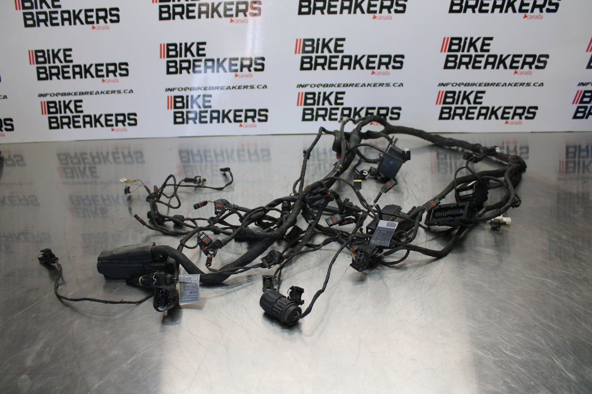 06-12 BMW F800ST MAIN ENGINE WIRING HARNESS MOTOR WIRE LOOM BB144