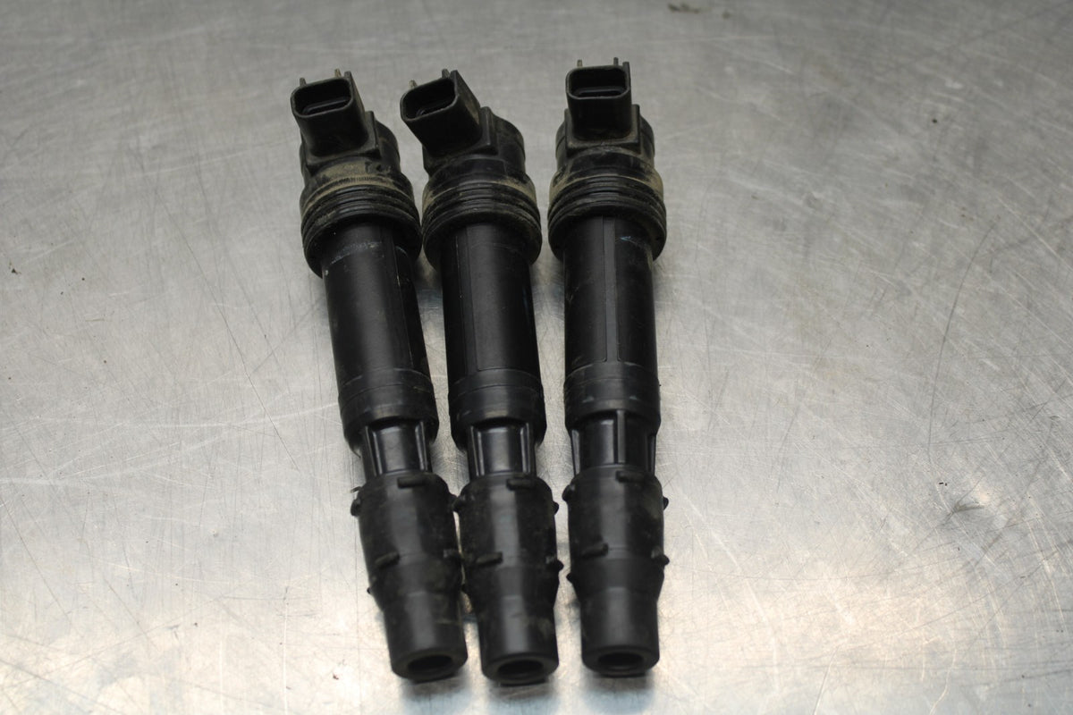 15 TRIUMPH TIGER 800 IGNITION COILS COIL SPARK PLUG CAPS BB873