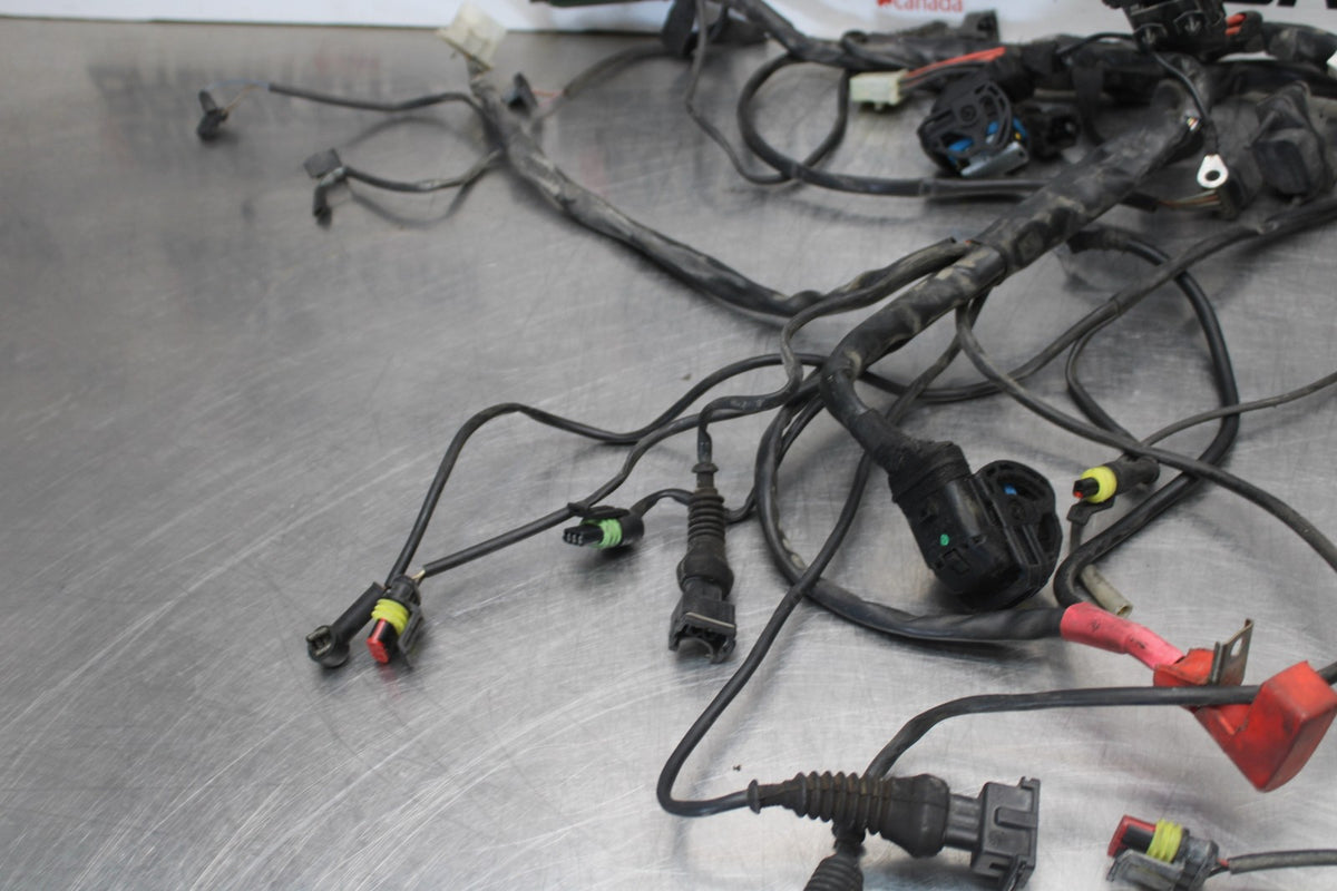 05 DUCATI SUPERSPORT 800 MAIN ENGINE WIRING HARNESS MOTOR WIRE LOOM BB913