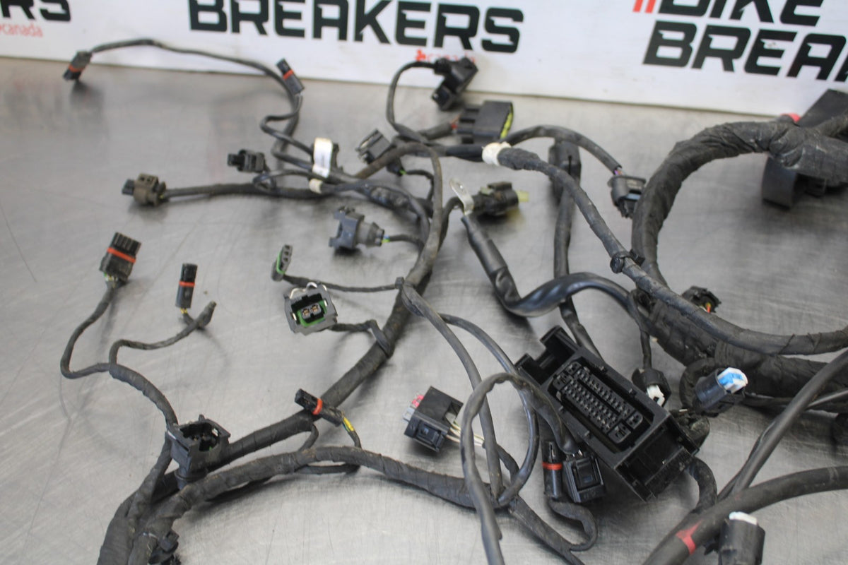 17-20 BMW S1000R FULL ENGINE WIRING HARNESS MOTOR WIRE LOOM BB909