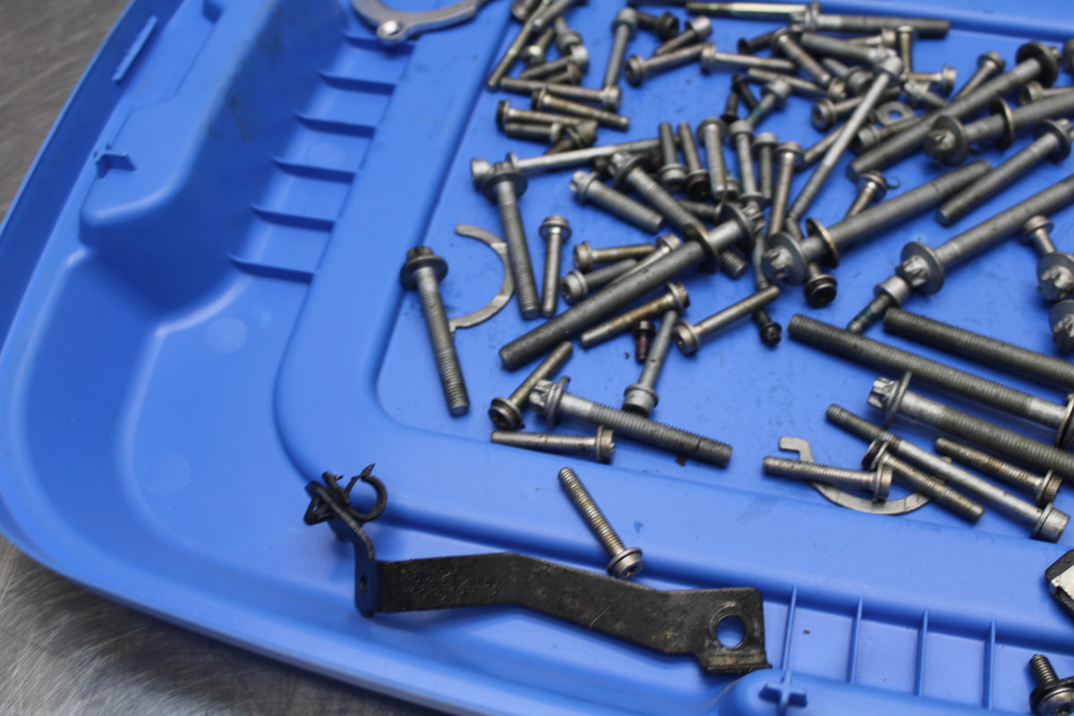 10-11 BMW S1000RR ENGINE MOUNTING BOLTS HARDWARE MOTOR SCREWS BB168