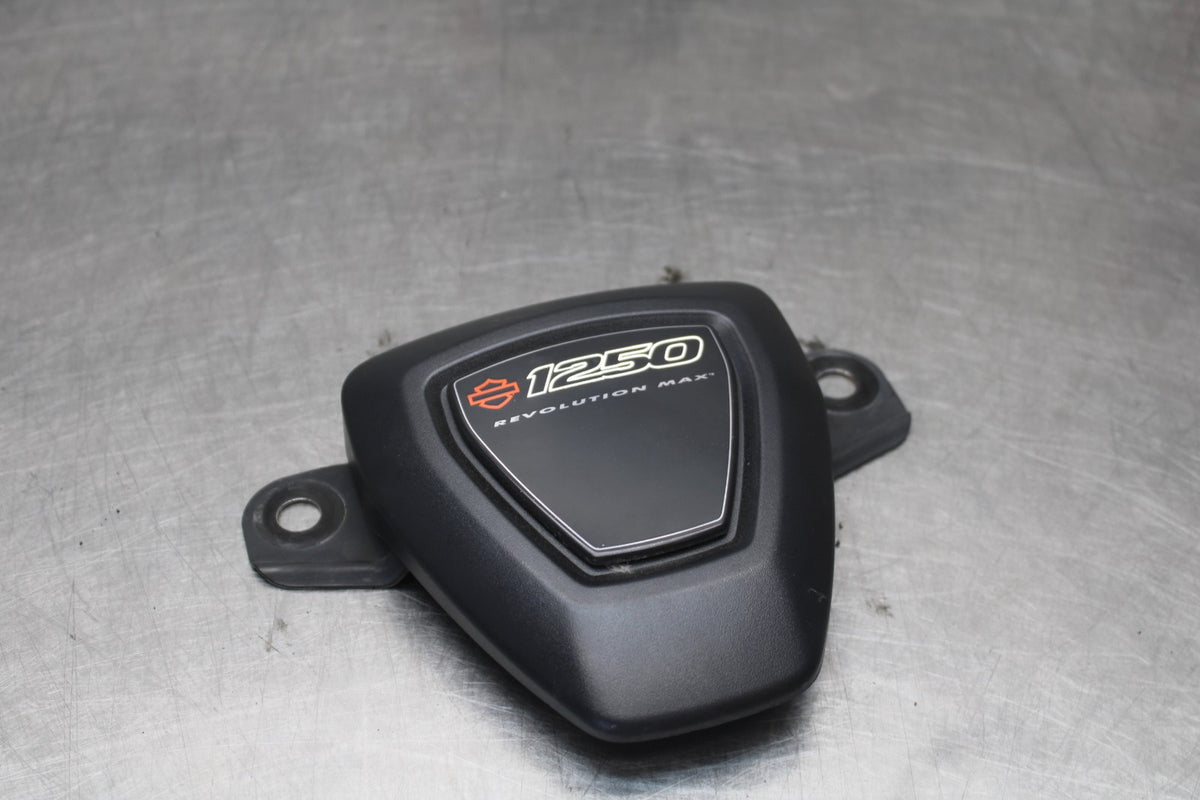 22 HARLEY-DAVIDSON PAN AMERICA 1250 RIGHT ENGINE SIDE COVER PANEL TRIM BB910