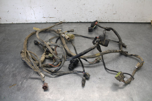 01-05 YAMAHA RAPTOR 660R MAIN ENGINE WIRING HARNESS MOTOR WIRE LOOM BB695