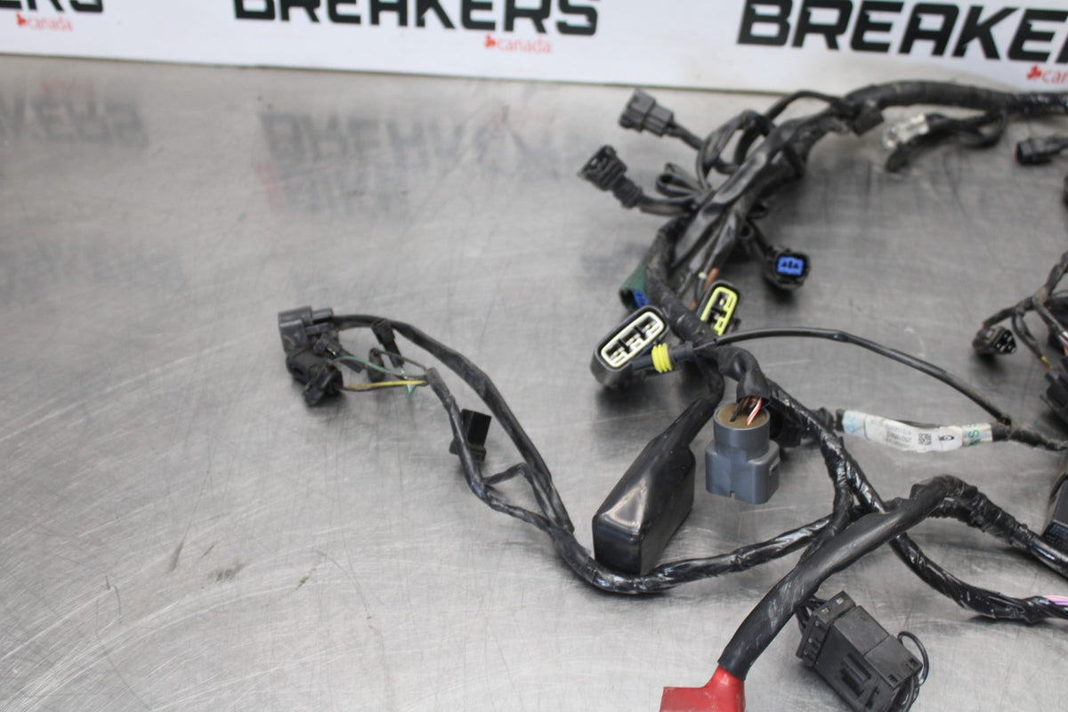 12 TRIUMPH STREET TRIPLE R MAIN ENGINE WIRING HARNESS MOTOR WIRE LOOM BB914