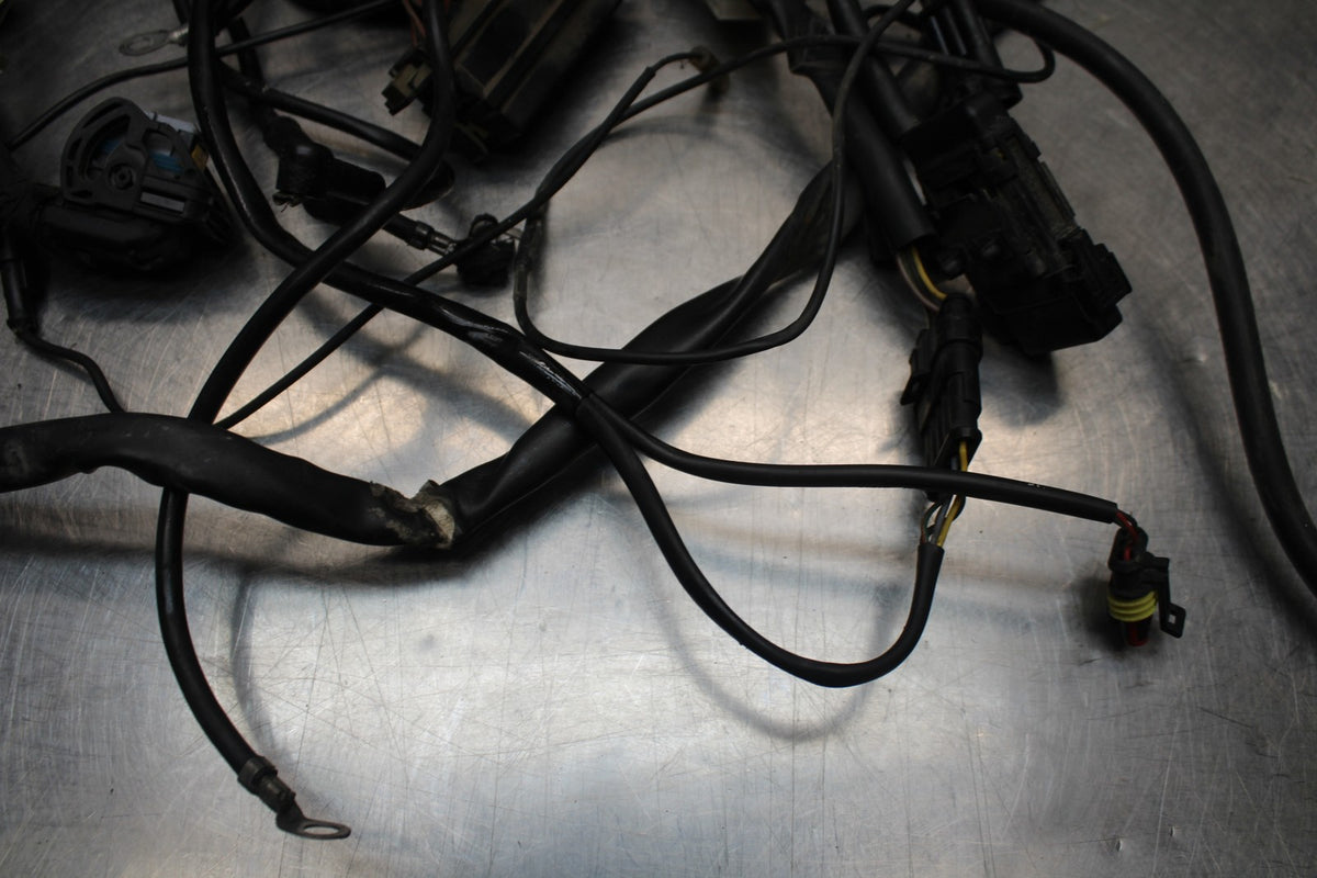 02 DUCATI MONSTER 620 MAIN ENGINE WIRING HARNESS MOTOR WIRE LOOM BB851