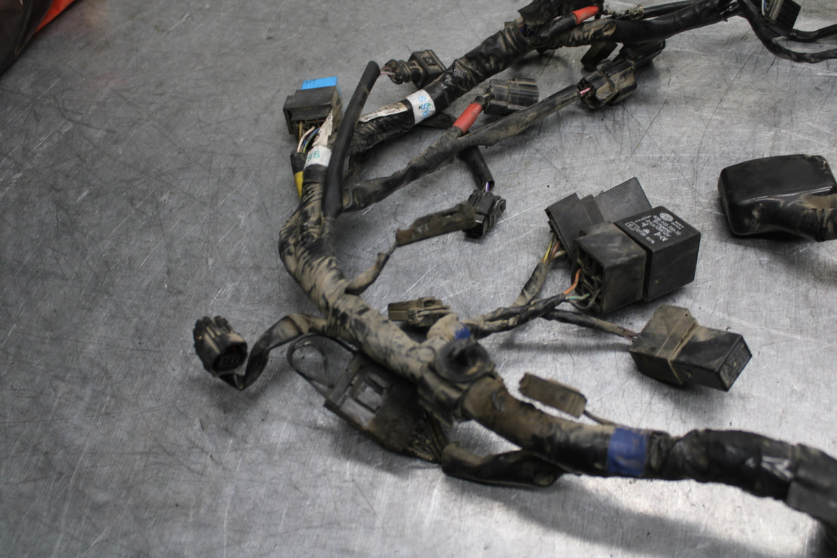 14-16 TRIUMPH AMERICA LT MAIN ENGINE WIRING HARNESS MOTOR WIRE LOOM BB720