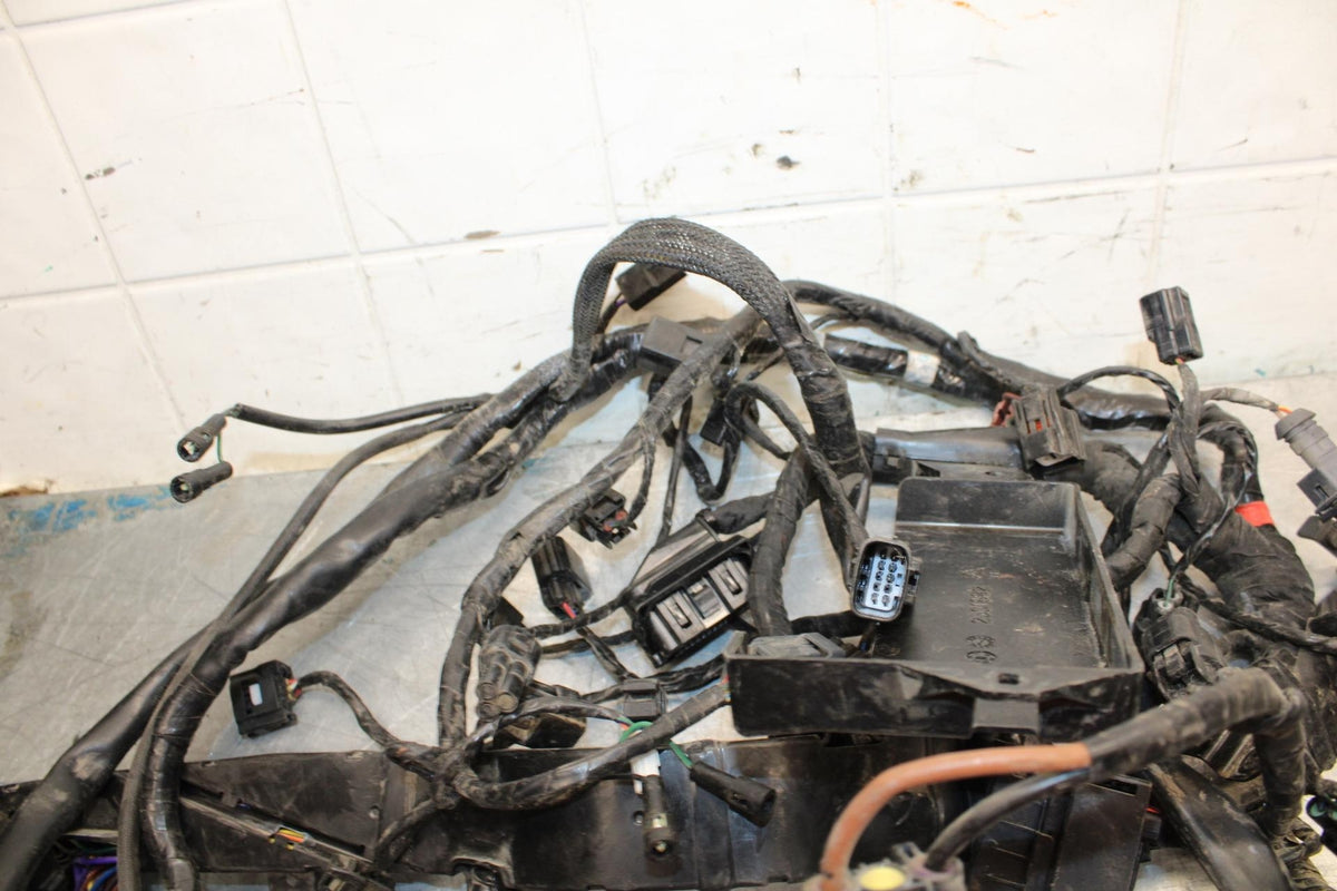 17-21 TRIUMPH STREET TRIPPLE R ABS MAIN  WIRING HARNESS MOTOR WIRE LOOM bb452