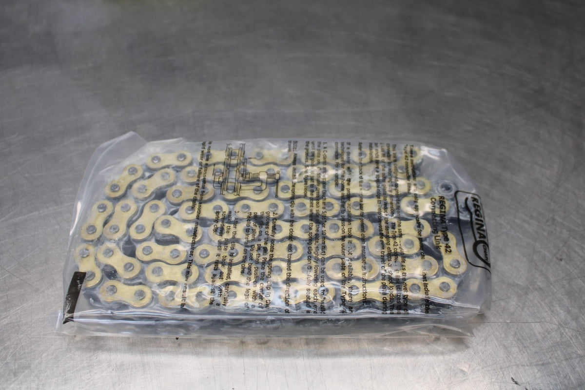 REGINA NEW!! TOURING MAIN DRIVE CHAIN  BB876