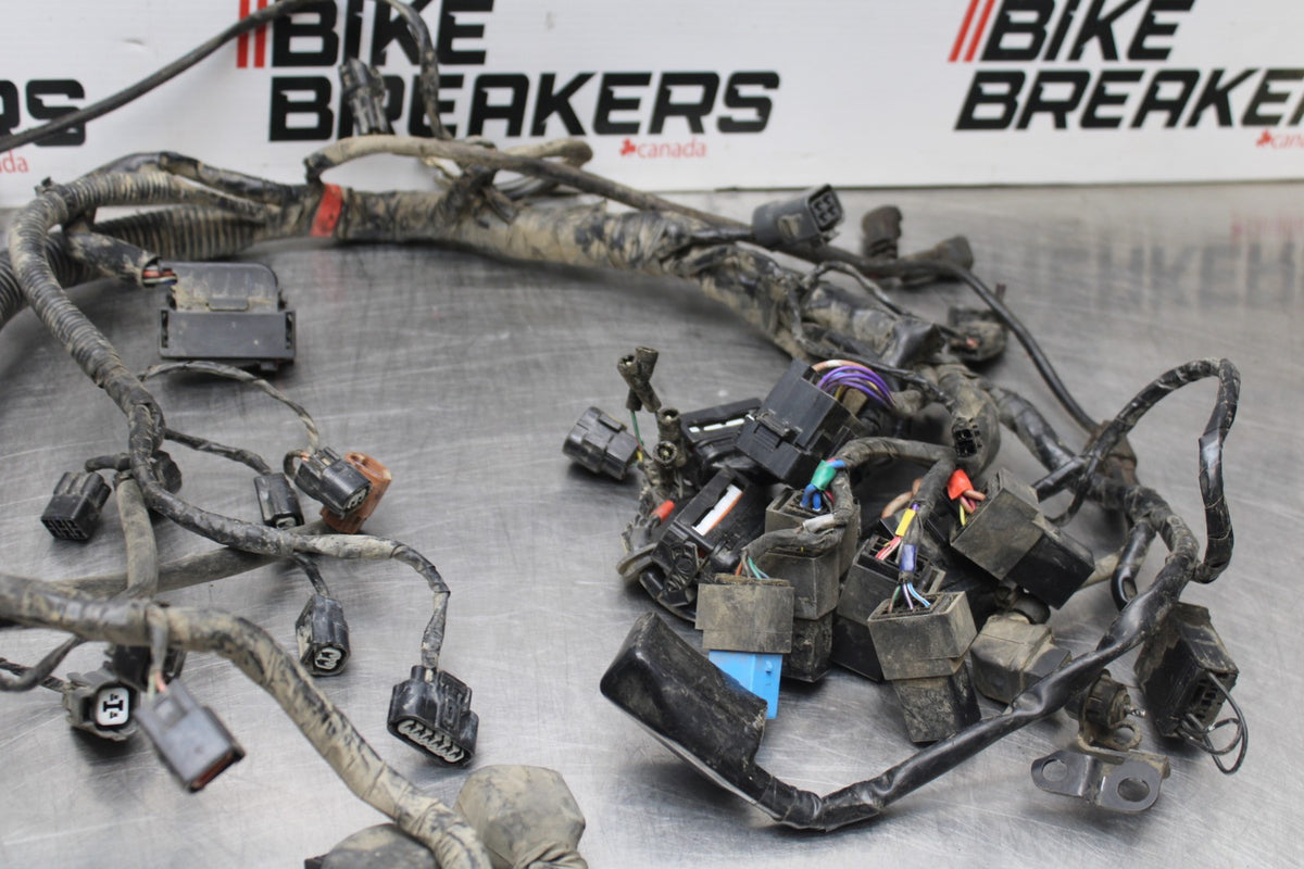 15 TRIUMPH TIGER 800 MAIN ENGINE WIRING HARNESS MOTOR WIRE LOOM BB873