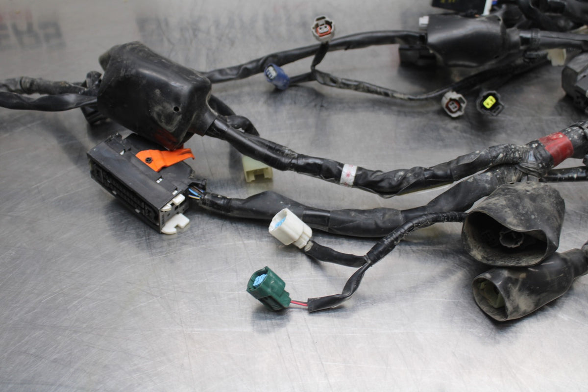 18 YAMAHA SUPER TENERE MAIN ENGINE WIRING HARNESS MOTOR WIRE LOOM BB832