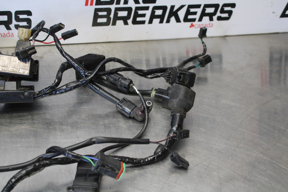 20 TRIUMPH STREET TRIPLE 765 MAIN ENGINE WIRING HARNESS MOTOR WIRE LOOM BB864