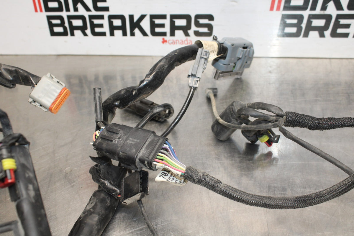 07 HARLEY-DAVIDSON SPORTSTER 1200 XL1200C MAIN ENGINE WIRING HARNESS  BB833