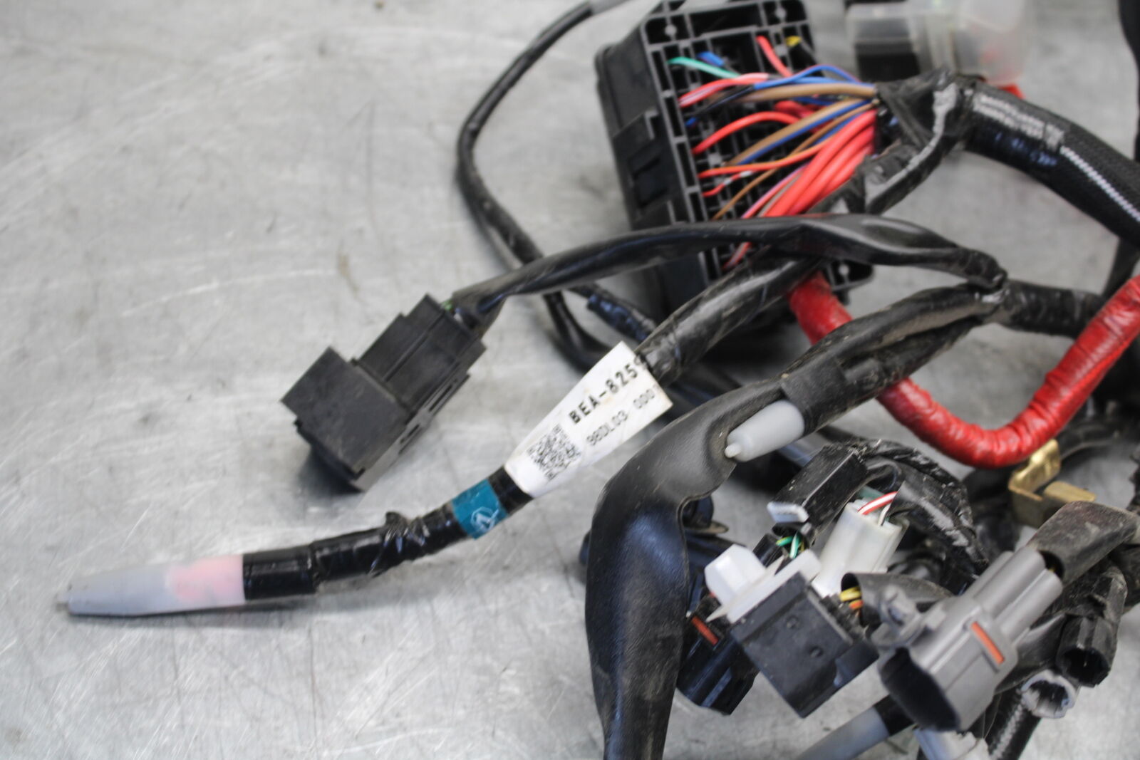 22-24 YAMAHA XSR900 MAIN ENGINE WIRING HARNESS MOTOR WIRE LOOM   BB683
