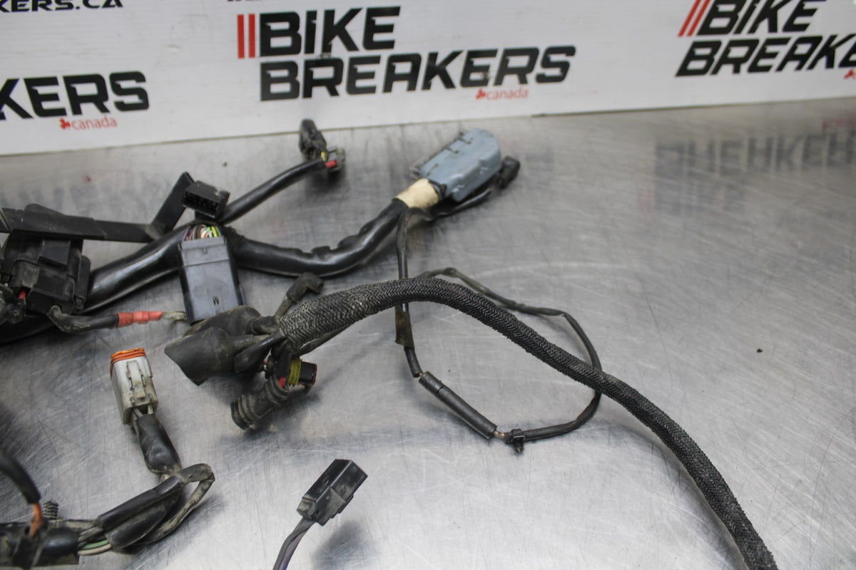 08 HARLEY-DAVIDSON SPORTSTER 1200 MAIN ENGINE WIRING HARNESS WIRE LOOM BB794