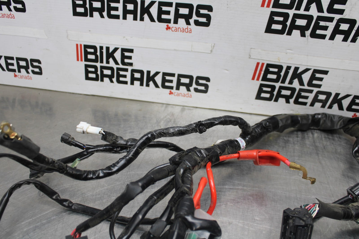 23-24 YAMAHA MT-07 MAIN ENGINE WIRING HARNESS MOTOR WIRE LOOM BB927