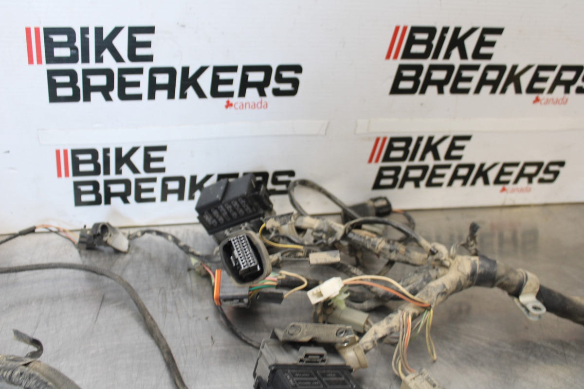 04 BUELL FIREBOLT XB12R ENGINE WIRING HARNESS MOTOR WIRE LOOM BB903