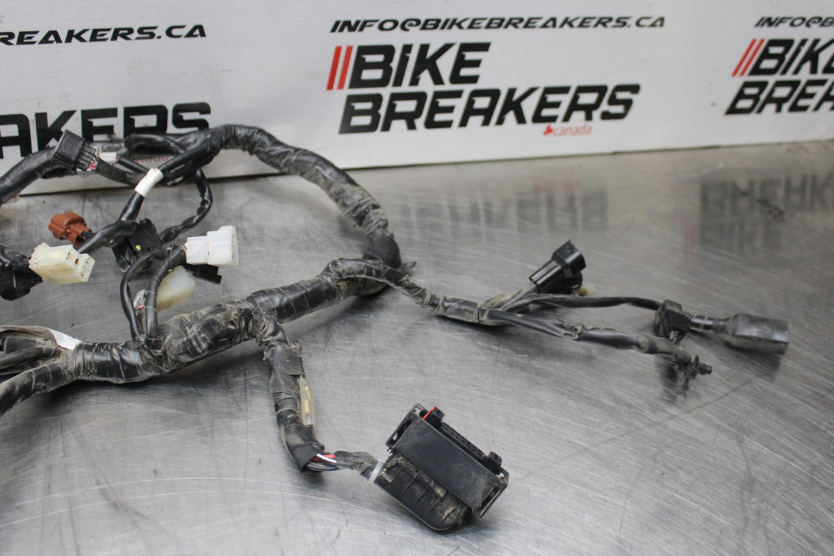 23 YAMAHA YZF R3 MAIN ENGINE WIRING HARNESS MOTOR WIRE LOOM BB806