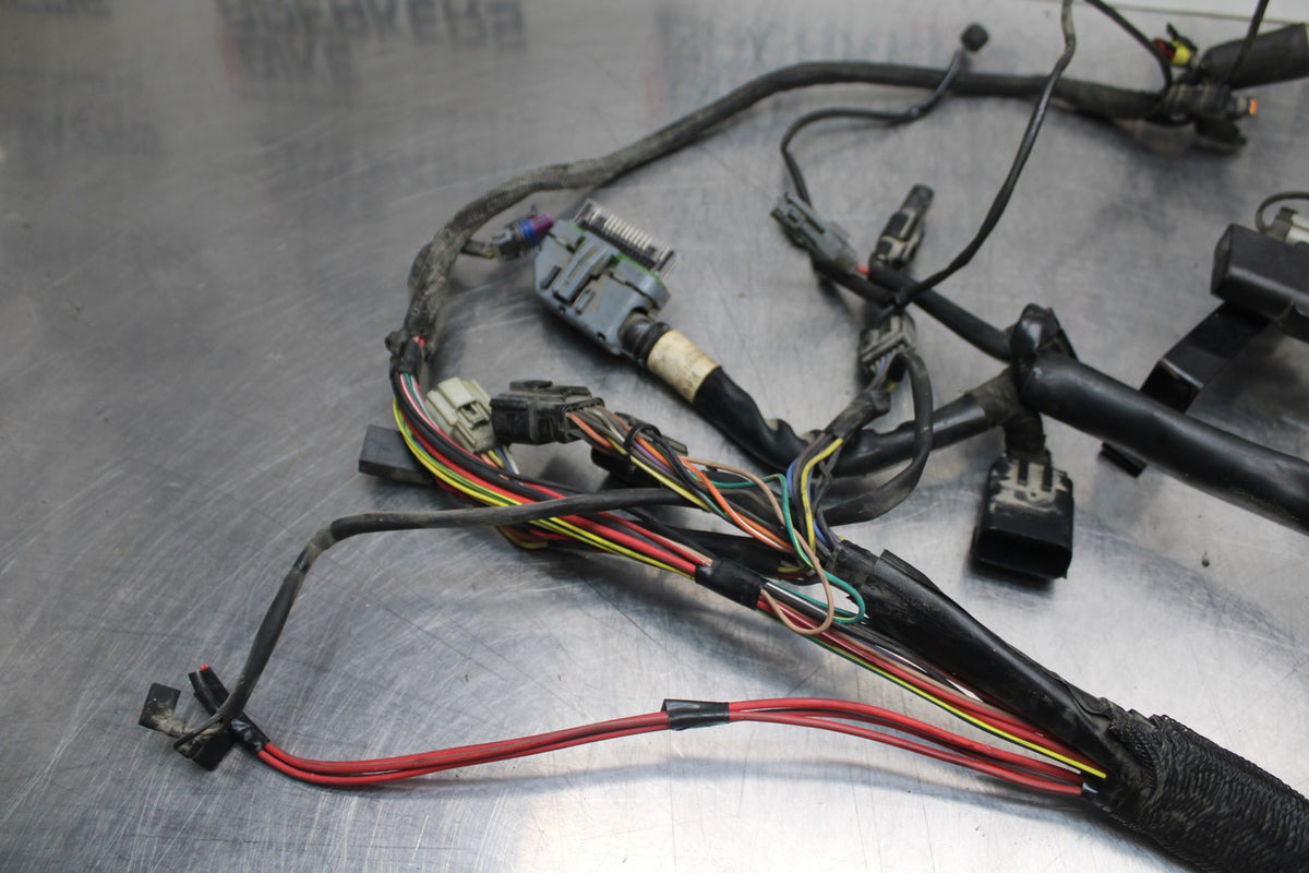 08 HARLEY-DAVIDSON SPORTSTER 1200 MAIN ENGINE WIRING HARNESS WIRE LOOM BB794