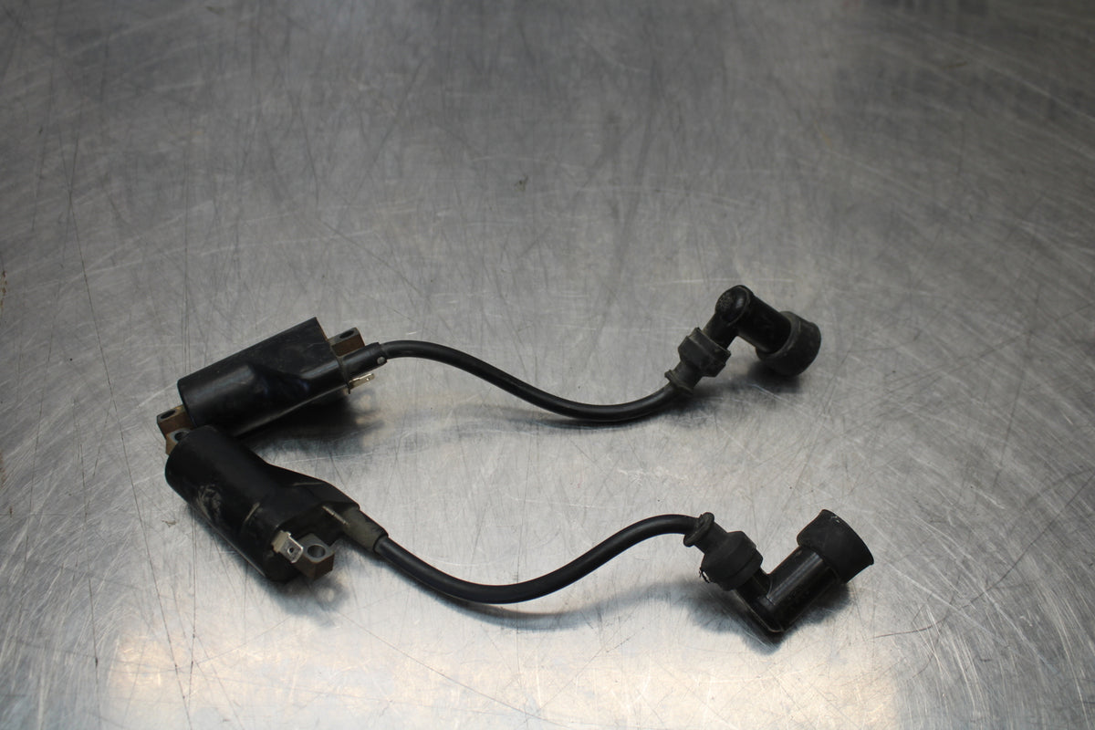 04-09 SUZUKI GS500F IGNITION COILS COIL SPARK PLUG CAPS BB165