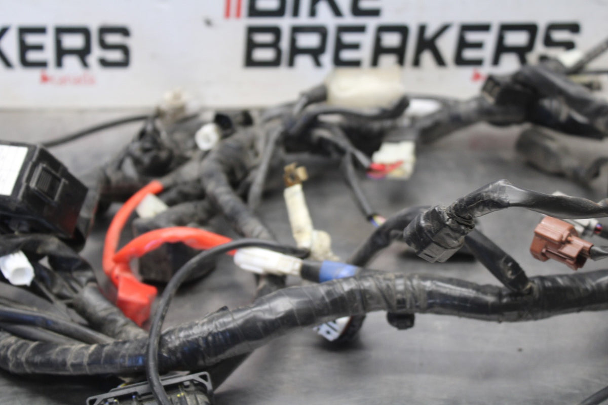 19-24 YAMAHA R3 MAIN ENGINE WIRING HARNESS MOTOR WIRE LOOM BB942