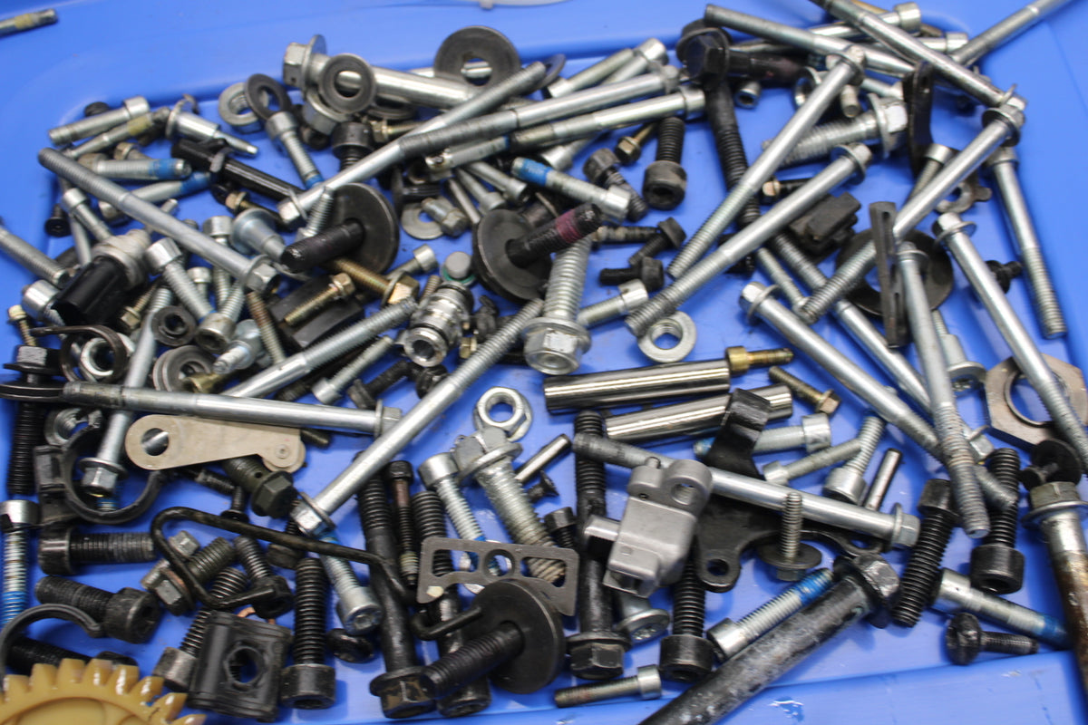 22-24 INDIAN CHIEF BOBBER DARK HORSE MOUNTING BOLTS HARDWARE MOTOR SCREWS BB717