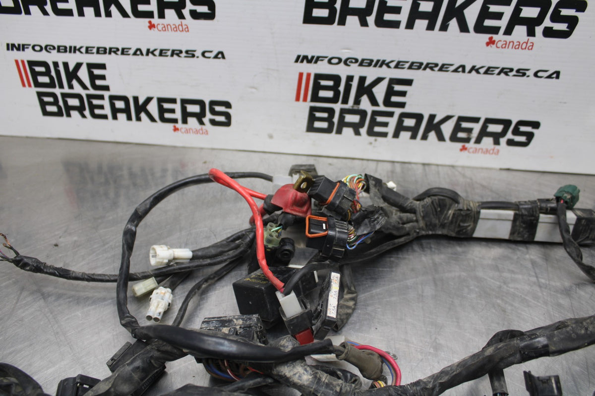 08-16 YAMAHA YZF R6 MAIN ENGINE WIRING HARNESS MOTOR WIRE LOOM BB797