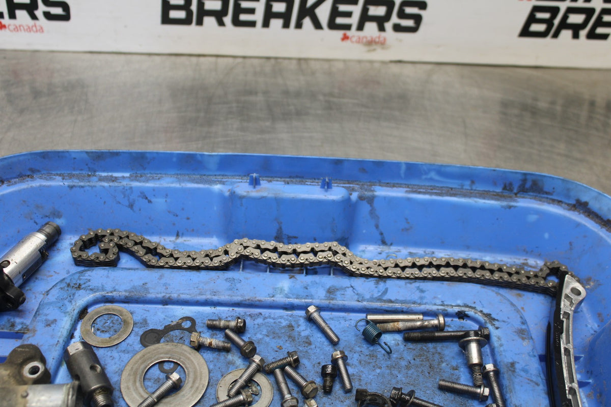 15 TRIUMPH TIGER 800 ENGINE BOLTS HARDWARE MOTOR SCREWS BB873