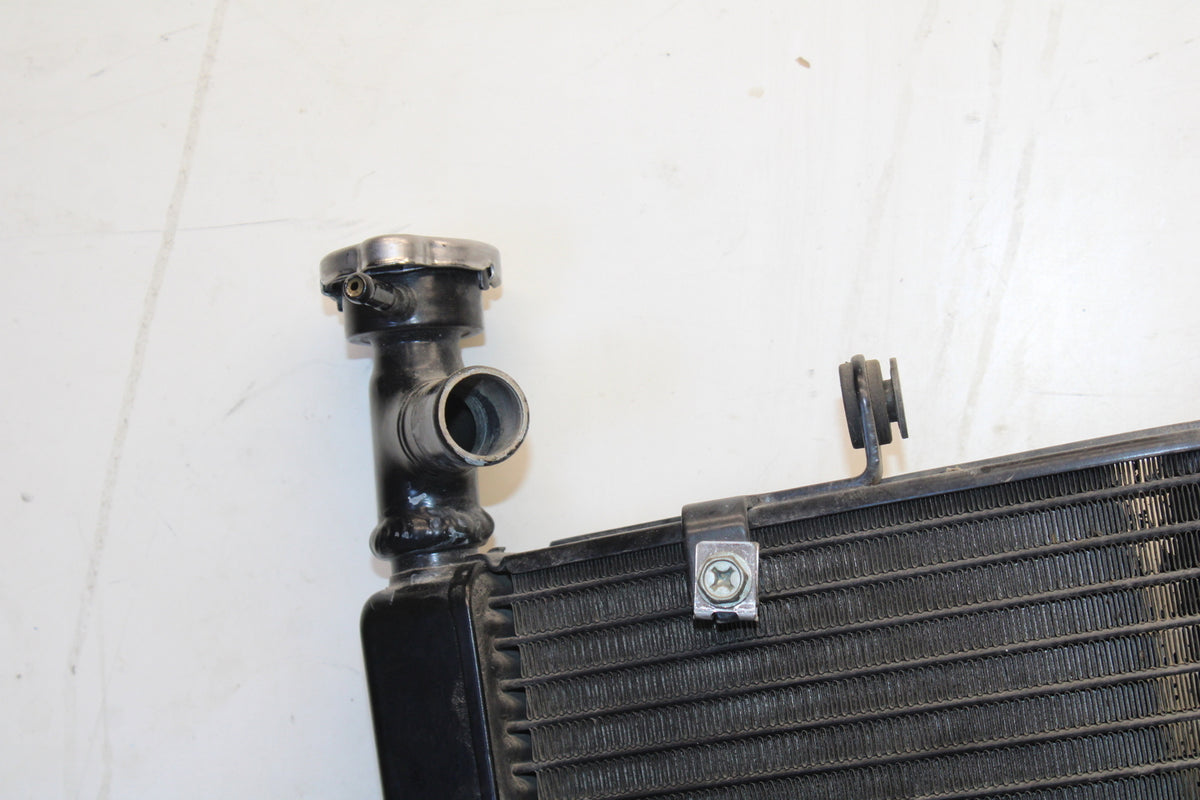 07-08 TRIUMPH DAYTONA 675 ENGINE RADIATOR MOTOR COOLER COOLING RADIATER BB685
