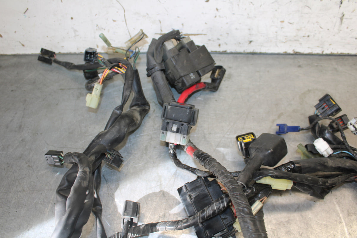 05-06 YAMAHA ROAD STAR XV1700A MAIN ENGINE WIRING HARNESS MOTOR WIRE LOOM BB703