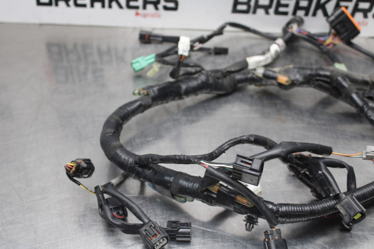 17-24 SUZUKI SV650 MAIN ENGINE WIRING HARNESS MOTOR WIRE LOOM BB829