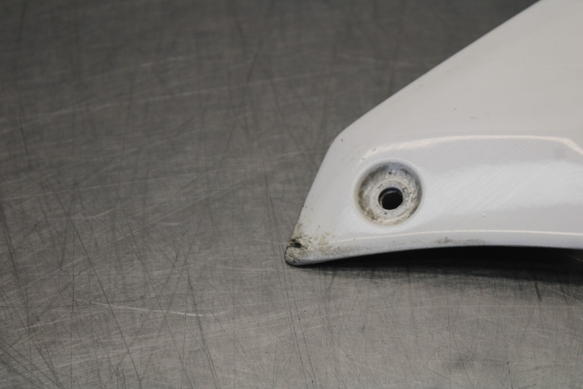 17-20 BMW S1000R LEFT LOWER BOTTOM BELLY SIDE FAIRING COWL BB909