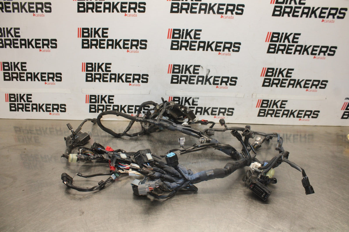 23 KAWASAKI Z900RS MAIN ENGINE WIRING HARNESS MOTOR WIRE LOOM BB935