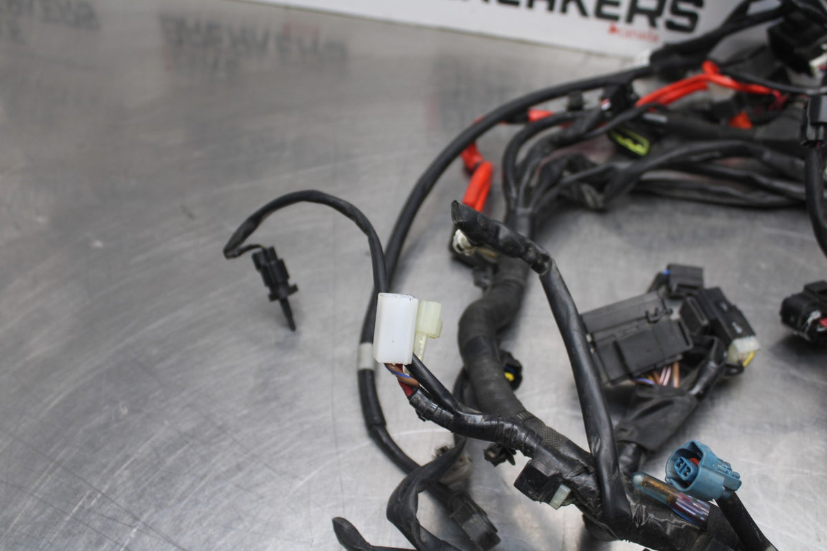 16 YAMAHA XSR900 MAIN ENGINE WIRING HARNESS MOTOR WIRE LOOM BB786