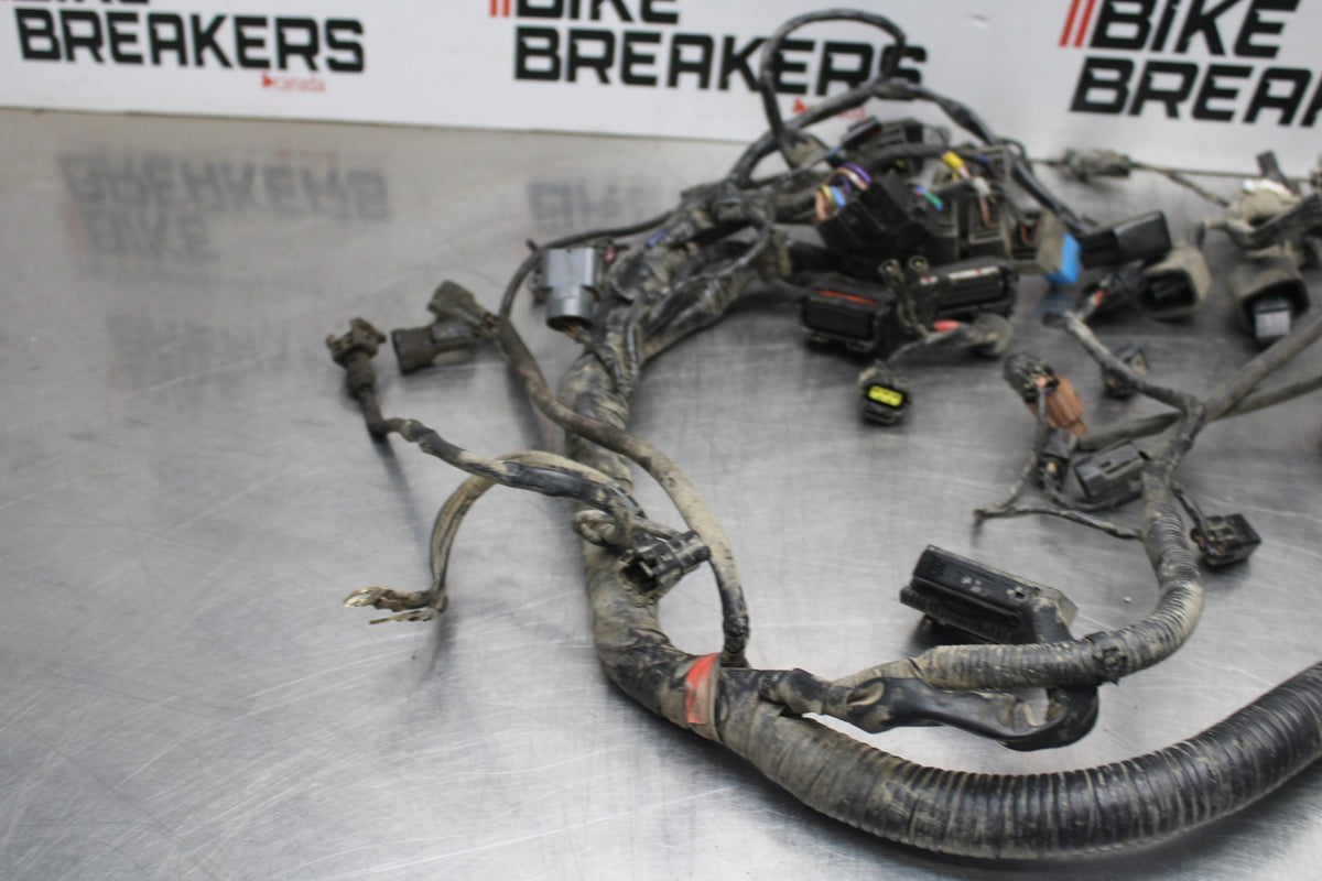 15 TRIUMPH TIGER 800 MAIN ENGINE WIRING HARNESS MOTOR WIRE LOOM BB873
