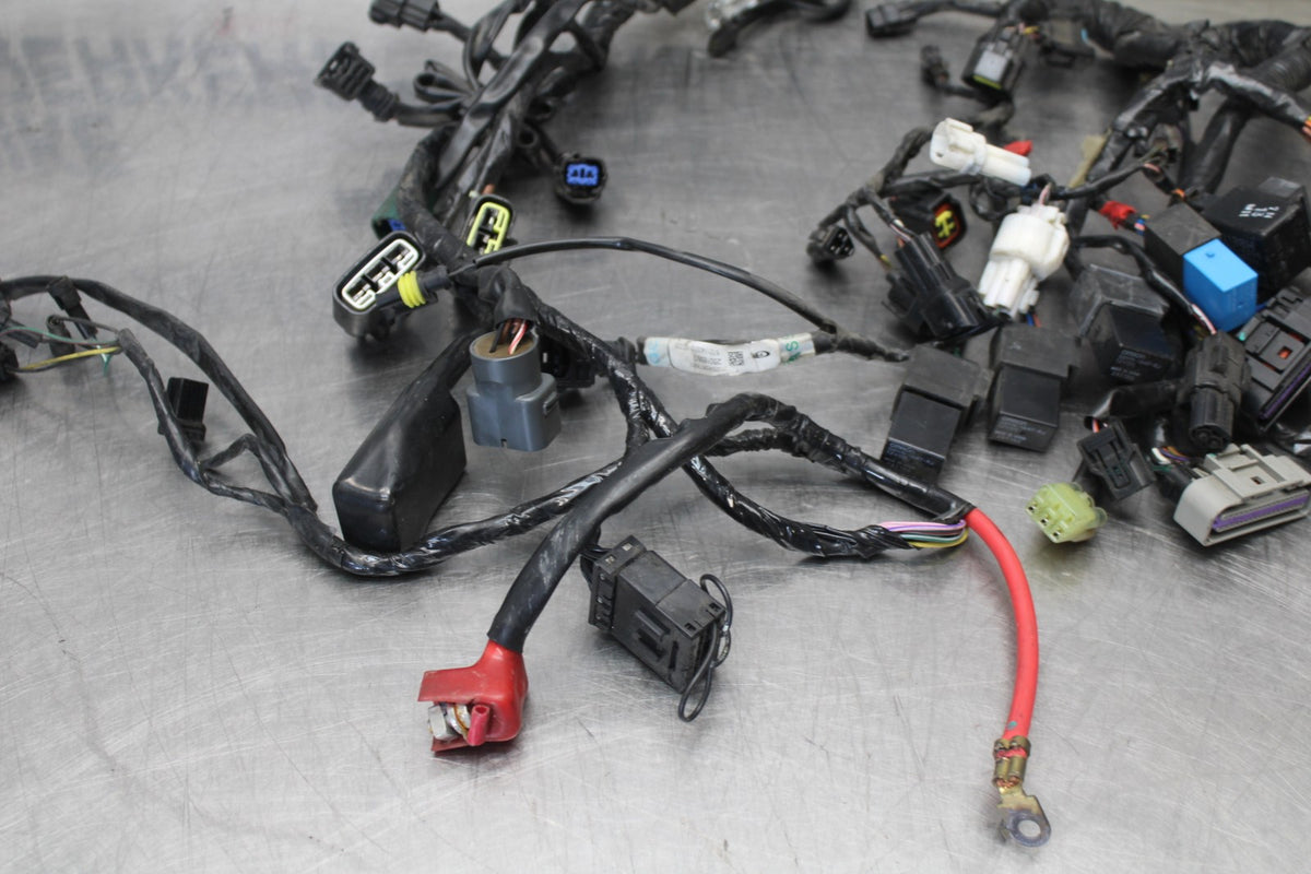 12 TRIUMPH STREET TRIPLE R MAIN ENGINE WIRING HARNESS MOTOR WIRE LOOM BB914