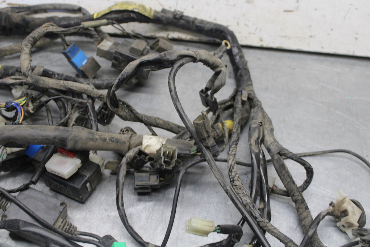 05-06 YAMAHA ROYAL STAR MAIN ENGINE WIRING HARNESS MOTOR WIRE LOOM BB697