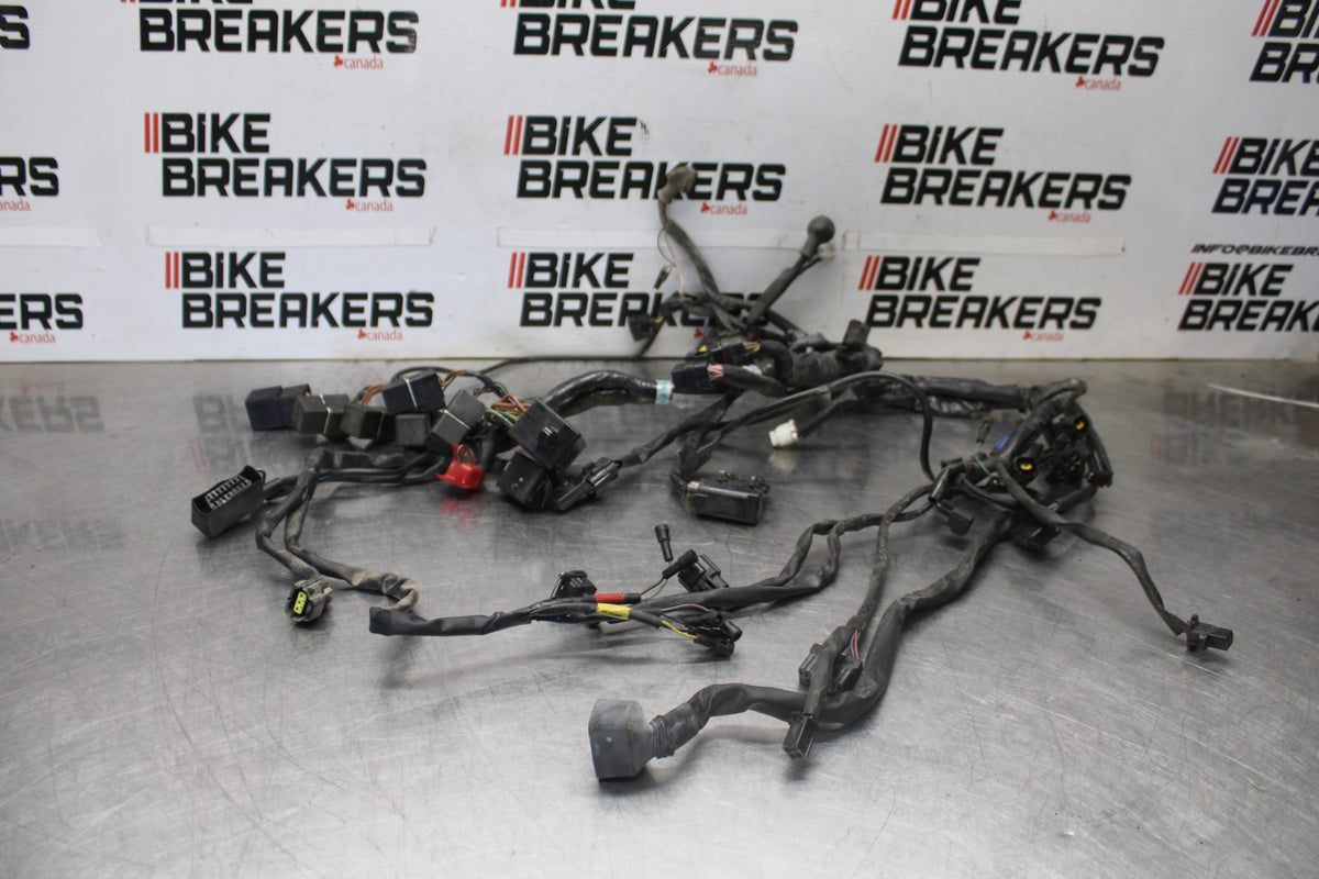 05-08 TRIUMPH SPEED TRIPLE 1050 MAIN ENGINE WIRING HARNESS MOTOR WIRE LOOM BB933