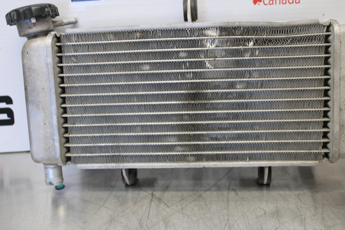 15-16 HONDA CB300F ENGINE RADIATOR MOTOR COOLER COOLING RADIATER BB150