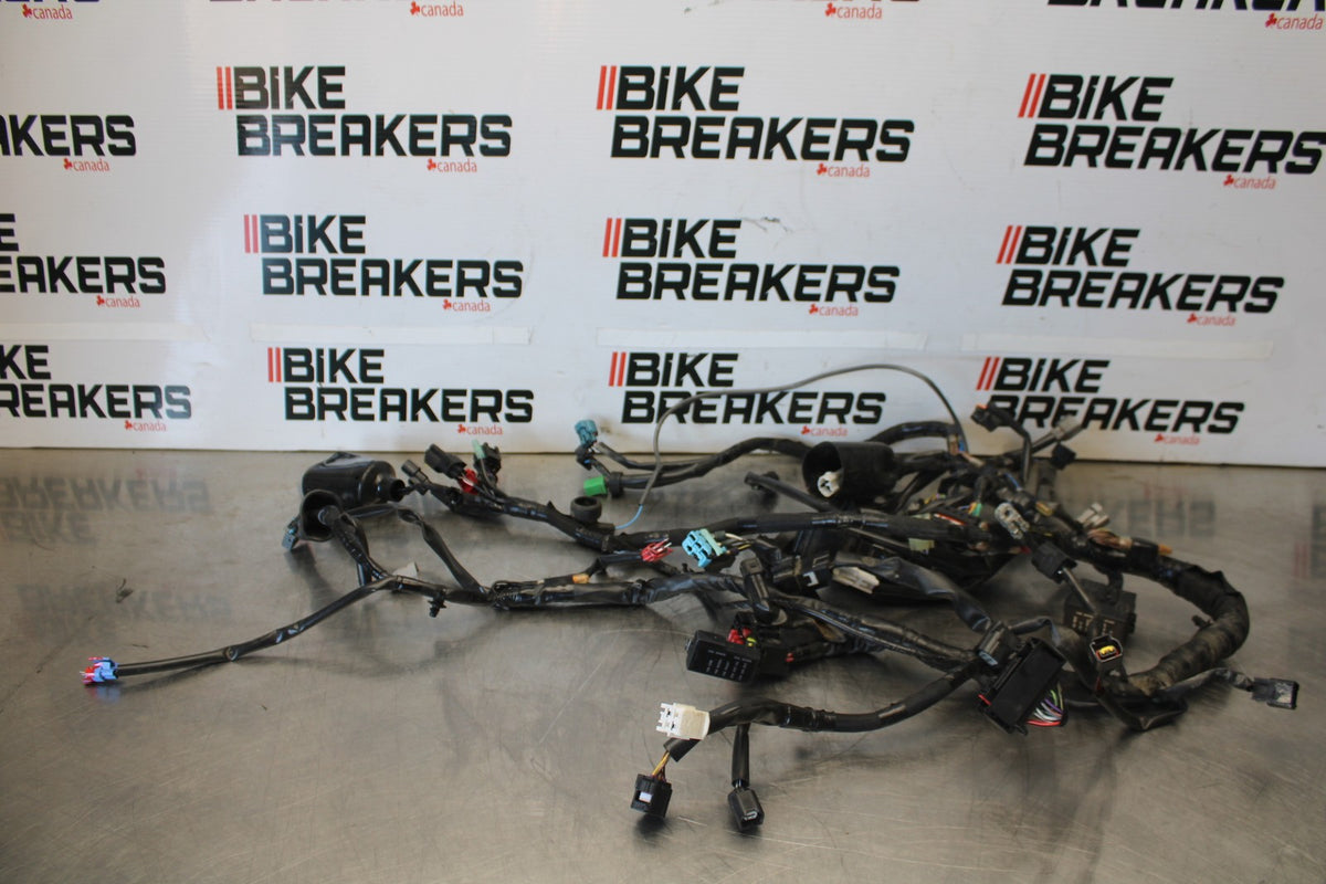 24-25 KAWASAKI NINJA 500 ABS MAIN ENGINE WIRING HARNESS WIRE LOOM BB899