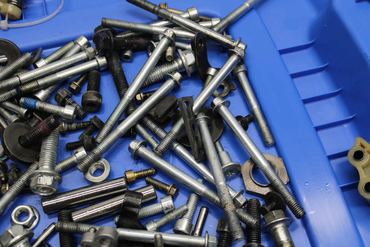 22-24 INDIAN CHIEF BOBBER DARK HORSE MOUNTING BOLTS HARDWARE MOTOR SCREWS BB717