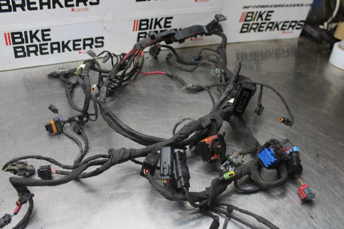 22 HARLEY-DAVIDSON PAN AMERICA 1250 MAIN WIRING HARNESS & MOTOR WIRE LOOM BB910