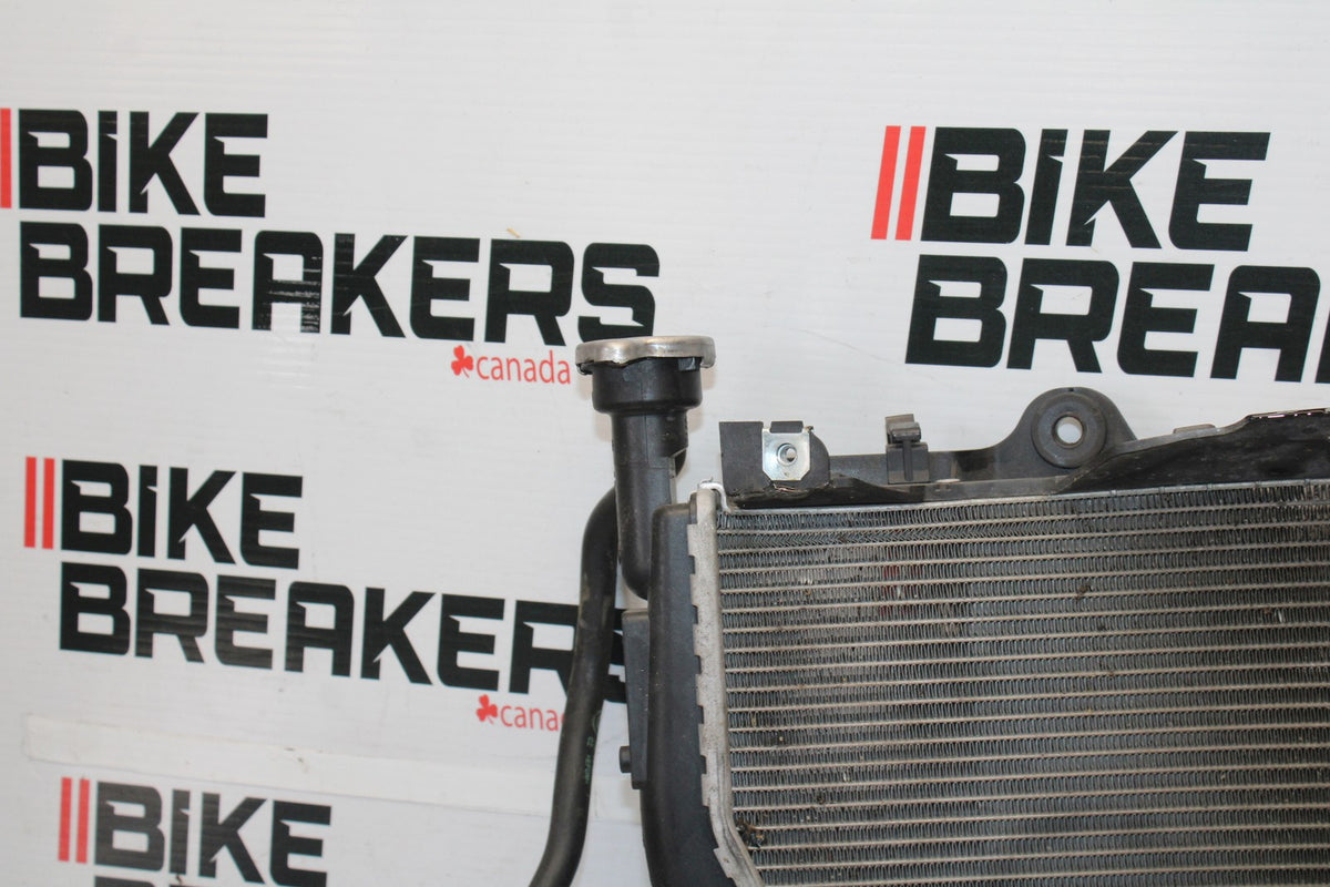 17-20 BMW S1000R ENGINE RADIATOR MOTOR COOLER COOLING RADIATER BB909