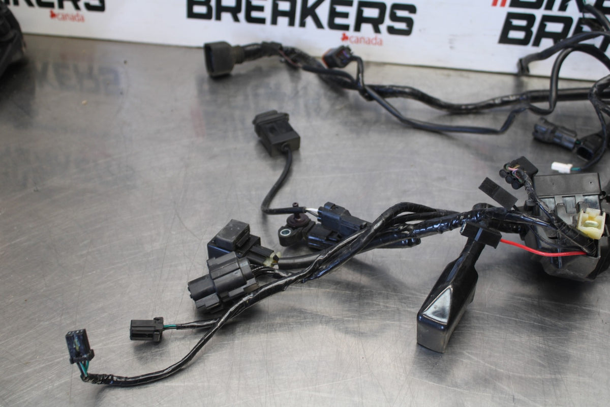 20 TRIUMPH STREET TRIPLE 765 MAIN ENGINE WIRING HARNESS MOTOR WIRE LOOM BB864