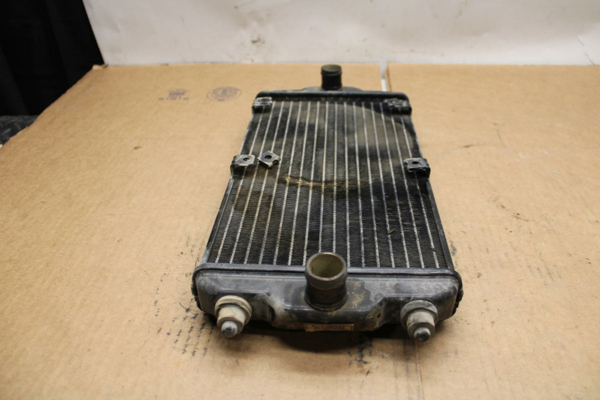 14-20 HARLEY-DAVIDSON STREET 500 ENGINE COOLER COOLING RADIATOR BB381