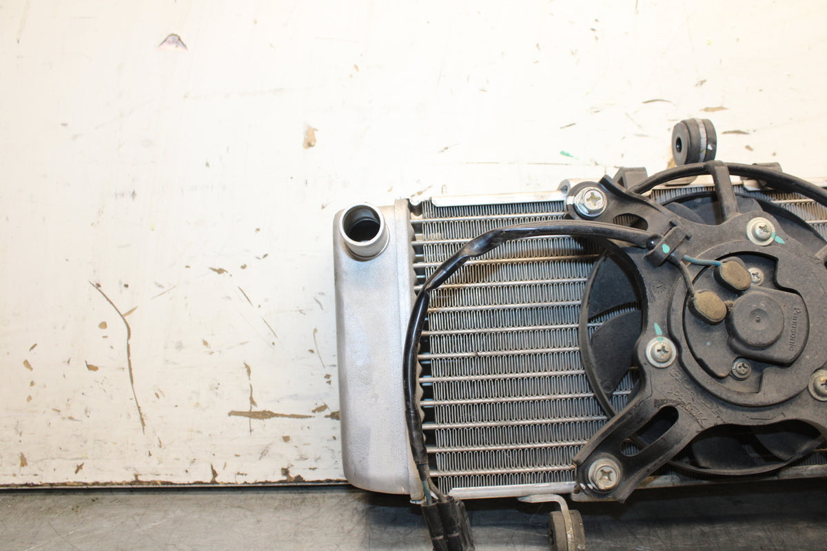 15-16 HONDA CB300F ENGINE RADIATOR MOTOR COOLER COOLING RADIATER BB740